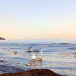 Dahai Ferienwohnung Seebad Warnemünde Schulstraße 1, OG