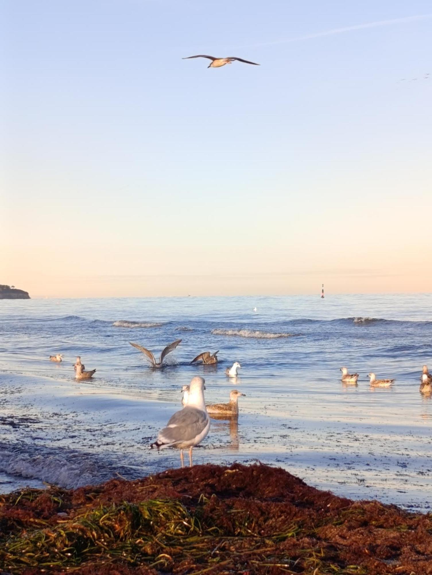 Dahai Seebad Warnemünde Schulstraße 1, Og Apartment Rostock